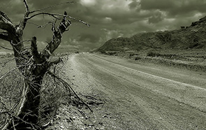 Caption Text