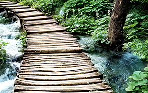 Caption Text