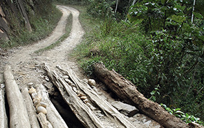 Caption Text