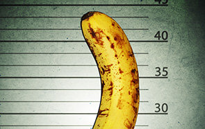 Caption Text