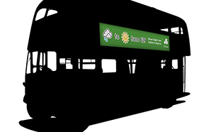 Caption Text